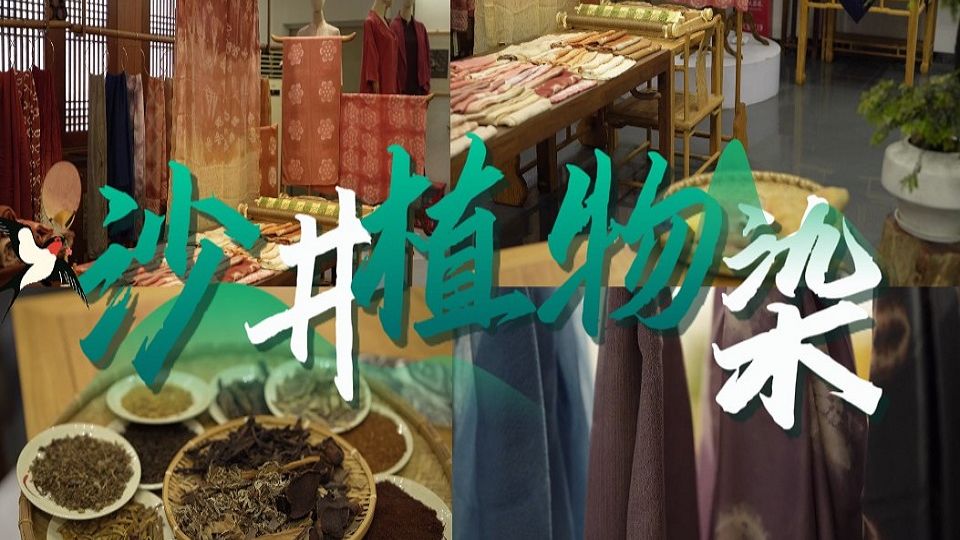 龙大学生"探秘"植物染非遗!沙井陈师傅的染色魔法
